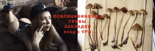 твердый Горно-Алтайск