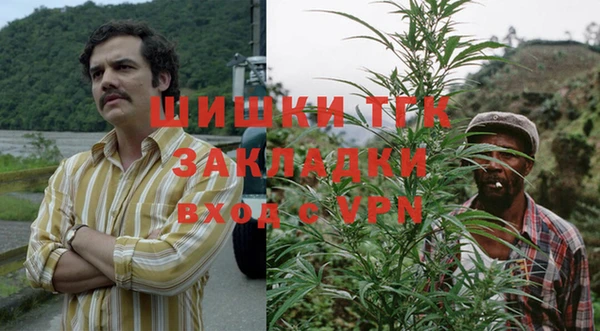амф Горняк